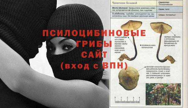 герыч Семилуки