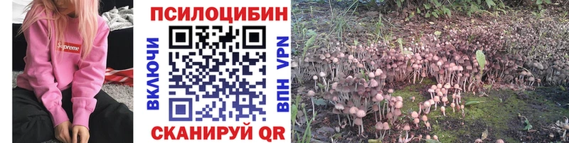 Псилоцибиновые грибы GOLDEN TEACHER  как найти закладки  Кунгур 